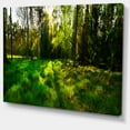 thumbnail image 2 of Green Forest Sunset Panorama - Landscape Artwork Canvas, 2 of 3