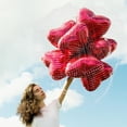 thumbnail image 4 of FESTFENDS Bolsa Organizadora Y Red Para Lanzamiento De Globos En Bodas Y Celebraciones Grandes, 4 of 7