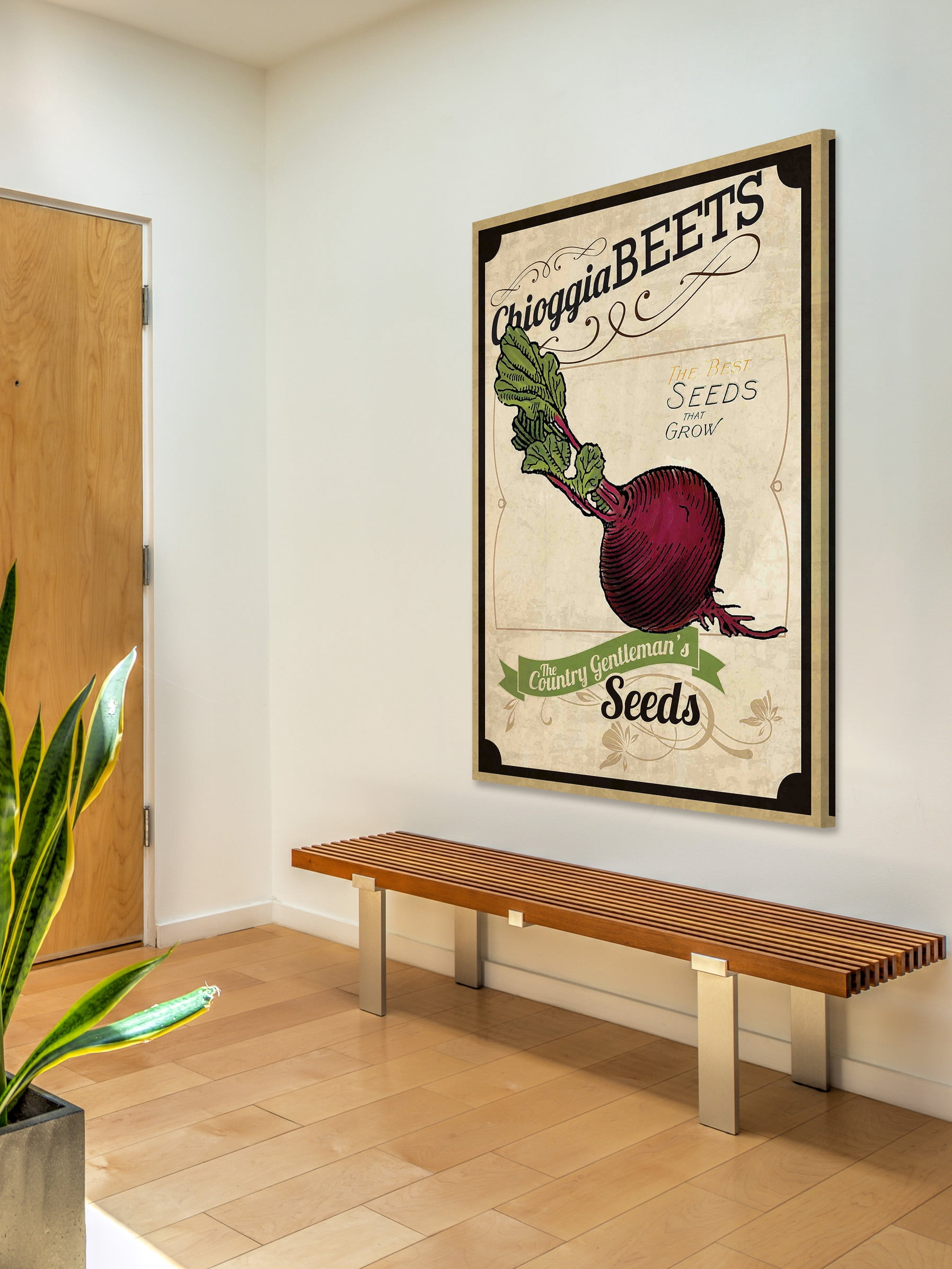 "Seed Packet Beet" Painting Print on Wrapped Canvas