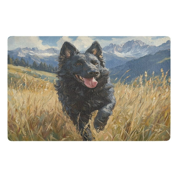 BZSMCE Floor Mats 32x20in Black Dog Creativity Doormats