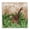 Jungle Giraffe Rainforest, variant on Stupell Industries Coastal Jungle Life Tiger Canvas Art, 17 x 17, by Paul Brent