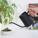 thumbnail image 5 of Stainless Steel Water Kettle Pot Retro Small Plant Water Kettle with Wooden Handle for Indoor Outdoor 1000ML Black, 5 of 5