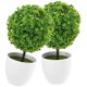thumbnail image 1 of BESTYASH 2Ud Bola Decorativa De Plantas Artificiales Para Ambientes Residenciales Y Comerciales, 1 of 6