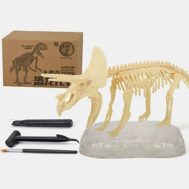Fiudx Kit de Excavación de Fósiles de Dinosaurio, Resina, Herramientas de Excavación Incluidas, Simulación Arqueológica Realista, Aprendizaje Práctico, Actividad Stem, Regalo Perfecto, 1 Yeso, 3 Herr