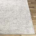 thumbnail image 4 of Hauteloom Neutral Collection Glyncorrwg Modern Minimalist Living Room, Bedroom, Dining Room Area Rug - Bohemian Boho Distressed Carpet - Beige, Light Grey, Gray - 5'3" x 7'1", 4 of 7