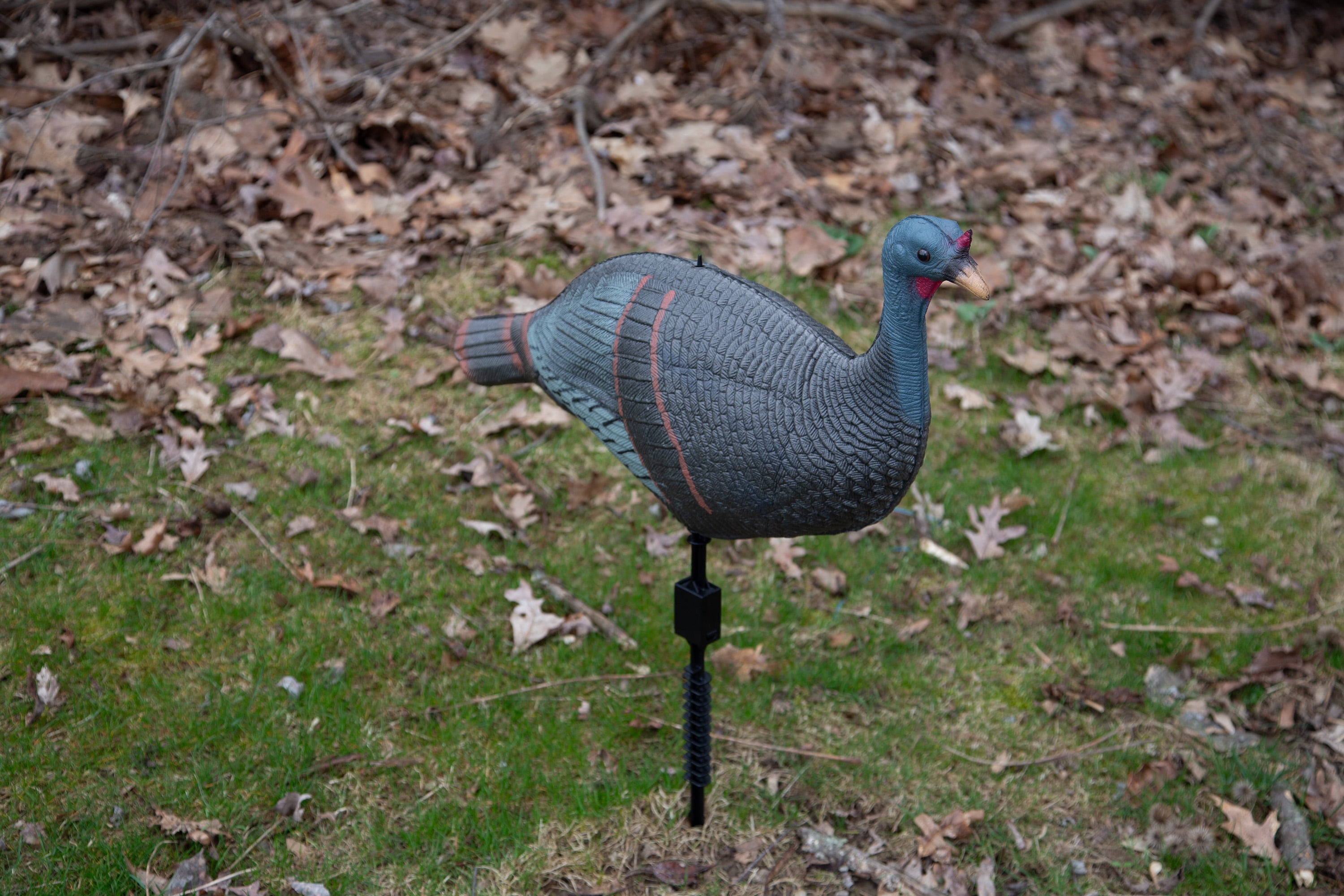 Falls River Foam Hen Turkey Decoy with Turkey Stake