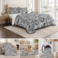 thumbnail image 6 of Quilts Full Size Bedding Set, Spring Black Gray Cobweb Lightweight Quilted Comforter, Abstract Minimalist Farmhouse Lines Soft Bedspread Coverlet with Pillow Covers for All Season, 78" x 90", 6 of 9