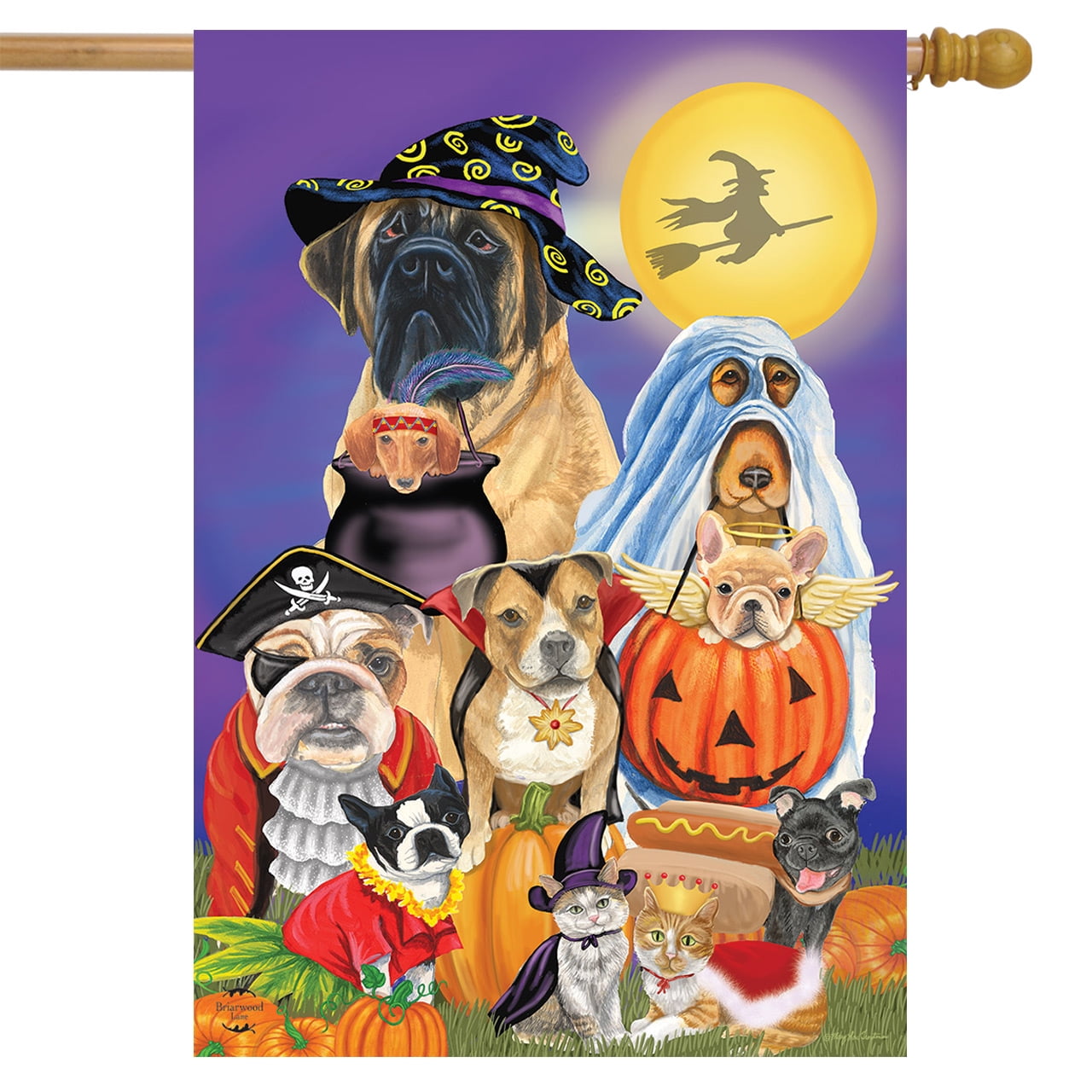 Details about   Black Cat Halloween Hat House Flag Jack O'Lantern Spooky 28"x40" Briarwood Lane 