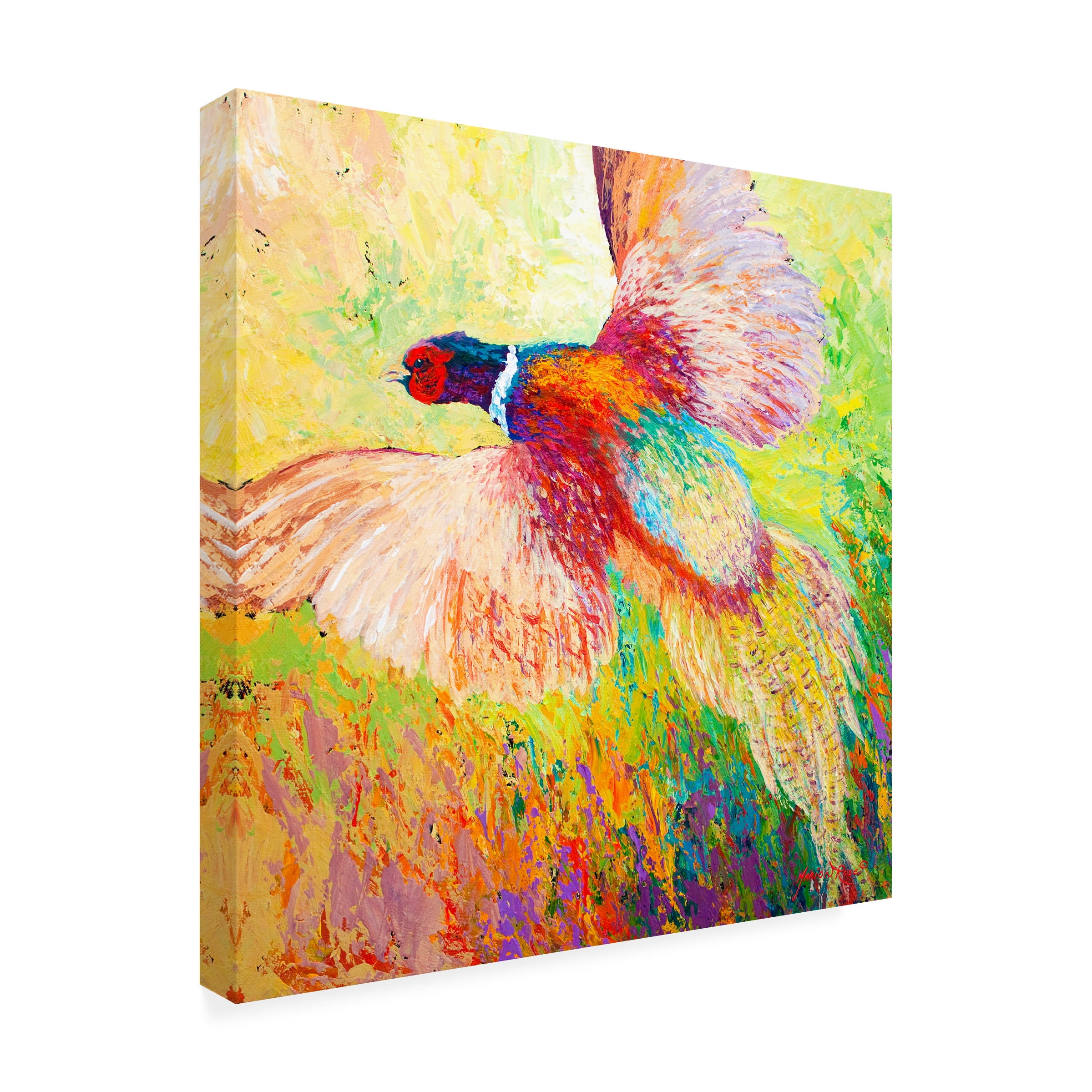 Marion Rose 'Pheasant 1' Canvas Art