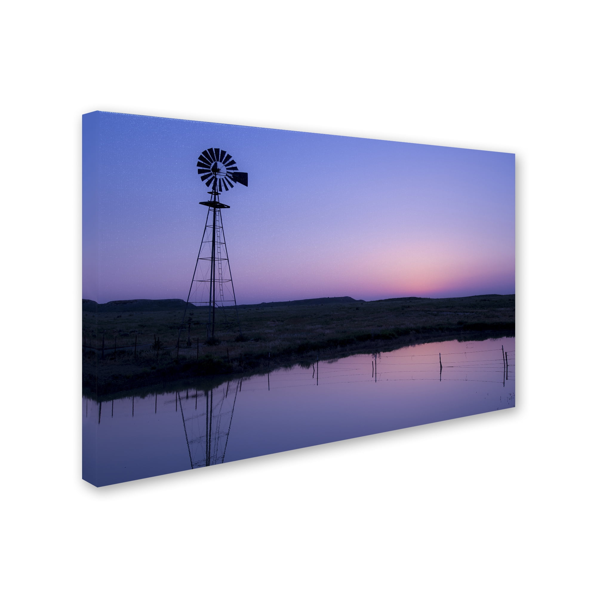 Trademark Fine Art 'Colorado Life' Canvas Art by Dan Ballard