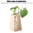 thumbnail image 3 of Desktop Plant Terrarium, Glass Test Tube Planter Propagation Multipurpose Innovative Hand Crafted Desktop Plant Terrarium For Hydroponic Plants, 3 of 8