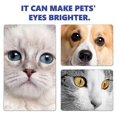 thumbnail image 5 of 3Pcs Eye Infection Drops For Dogs Cats And Rabbits, 5 of 5
