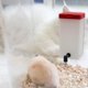 thumbnail image 5 of Dispensador de bebidas para mascotas Gloria Dispensador de Cuenco Automático Portátil para Conejo Pollo Guinea Ratón, 5 of 8