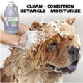 thumbnail image 2 of Champú calmante para perros 4 en 1 de Wahl USA para mascotas, 1,89 litros, 2 of 8