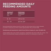 Purina ONE Plus, Urinary Tract Health Formula Dry Cat Food, Chicken, 22 lb Bag