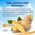 thumbnail image 3 of Sea-Band Anti-Nausea Ginger Gum For Motion & Morning Sickness, 24 Pieces, 3 of 3