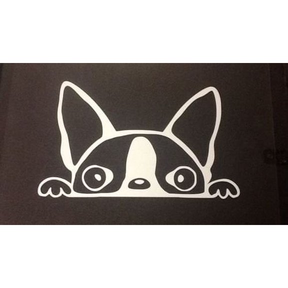 Peeking Boston Terrier (A14) Vinyl Decal Sticker Car/Truck Laptop/Netbook Window