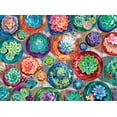 thumbnail image 1 of Rompecabezas Buffalo Games Gina Jane Lee Succulent 1000 piezas, 1 of 6