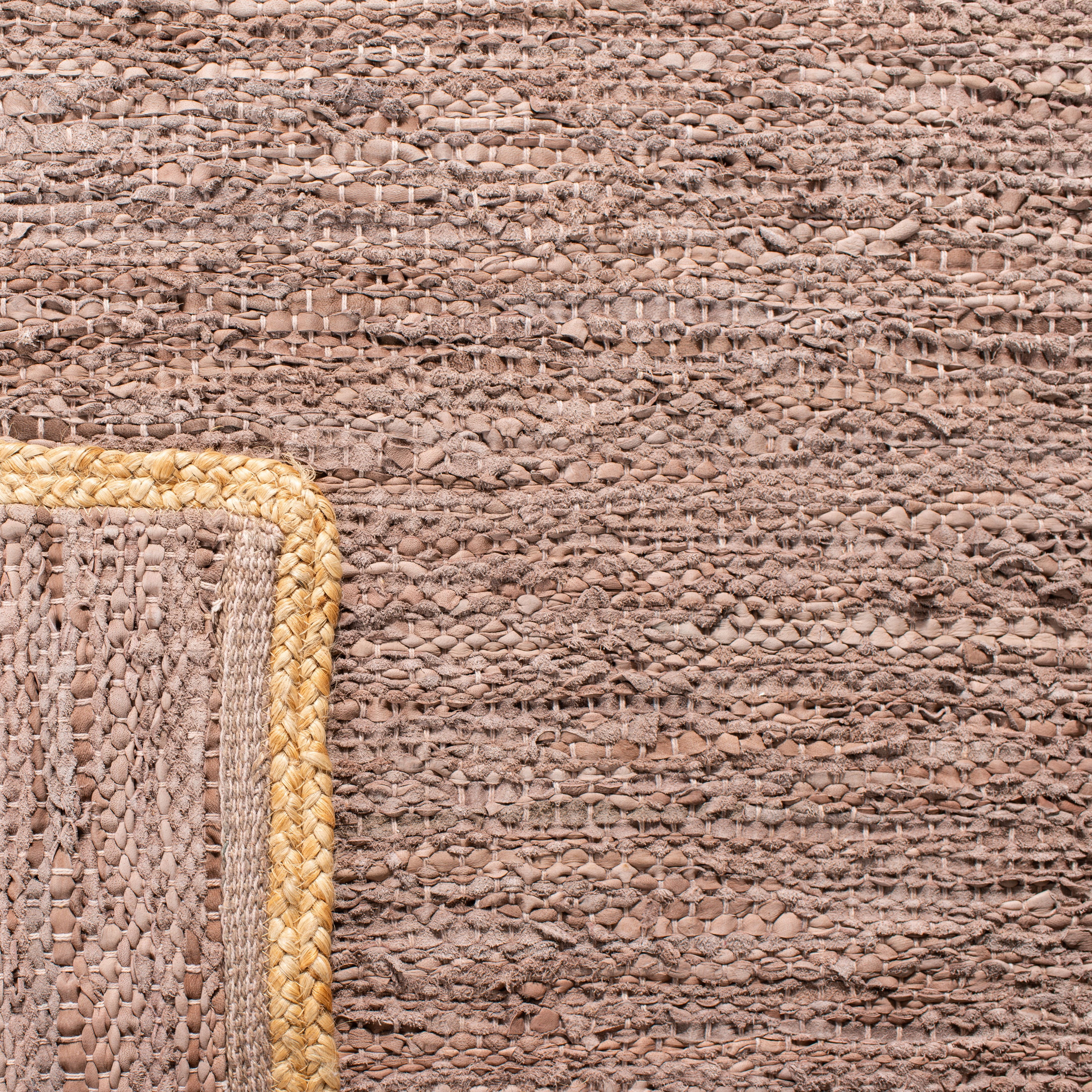 SAFAVIEH Cape Cod Ainsley Texture/Embroidery Area Rug, Brown/Natural, 4' x 6'