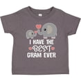 thumbnail image 3 of Inktastic Best Gram Ever Grandchild Boys or Girls Toddler T-Shirt, 3 of 5
