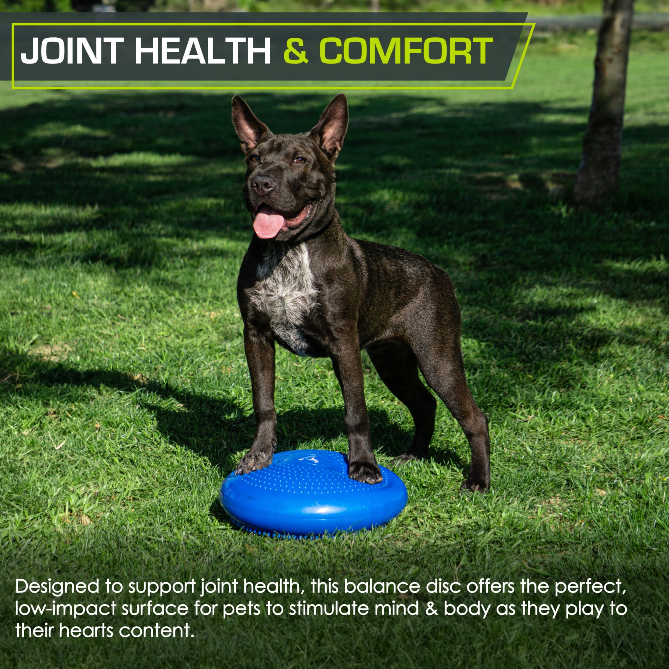 ProsourceFit Core Balance Disc Trainer, 14" Diameter with Pump