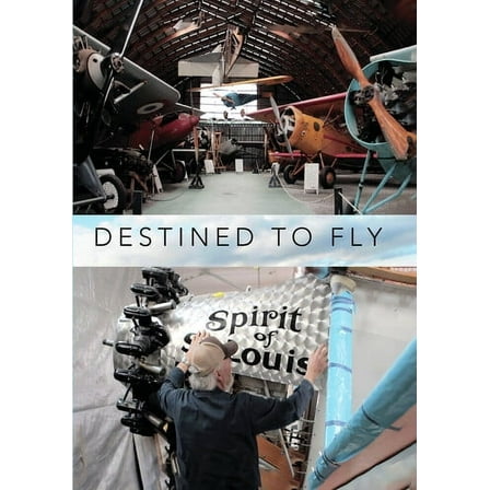 Destined To Fly (DVD), Filmhub, Documentary