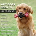 thumbnail image 3 of Dog Toys for Aggressive Chewers Bone Dog Toy Interactive Dog Toys for Large Dog Chew Toys for Aggressive Chewers,Dinosam Indestructible Dog Toy for Medium Large Dogs, 3 of 7