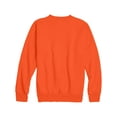thumbnail image 2 of Hanes Boys Fleece Crew Neck Sweatshirt, Sizes 4-18, 2 of 5