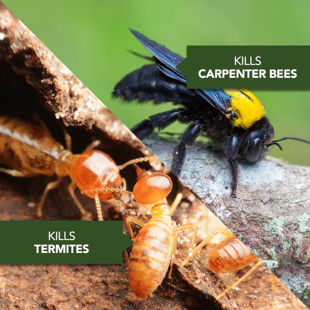 Carpenter Bee Spray Walmart - Captions Trend