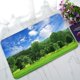 thumbnail image 1 of Felpudo ABPHQTO Paisaje de verano bosque verde joven cielo azul brillante 40x60 cm, 1 of 1