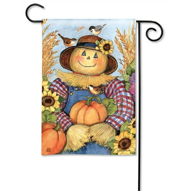 Happy Harvest Scarecrow Garden Flag 2 Sided Autumn Fall - Walmart.com ...