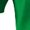 Irish Green, variant on Shenanigan Specialist Funny St. Patricks Day Celebration Women's T-shirt