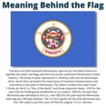thumbnail image 2 of Allied Flag Minnesota State Flag - 5 x 8 - Nylon - Made in USA, 2 of 2