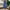 Blue, variant on Cuoff Retro Loose Fit Suspenders Jumpsuits, XL (Women's)