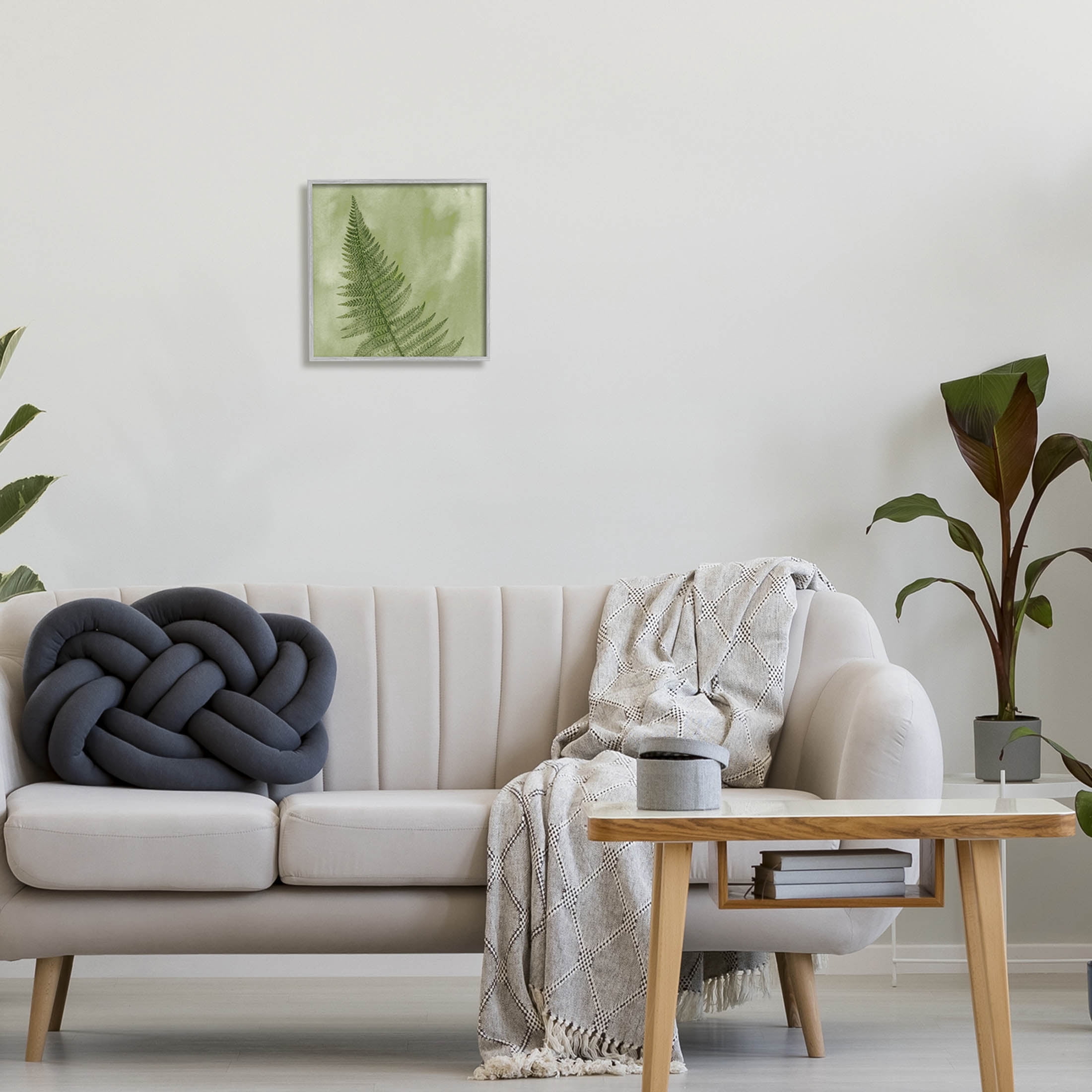 Modern Fern Nature Plant Botanical & Floral Graphic Art Gray Framed Art Print Wall Art
