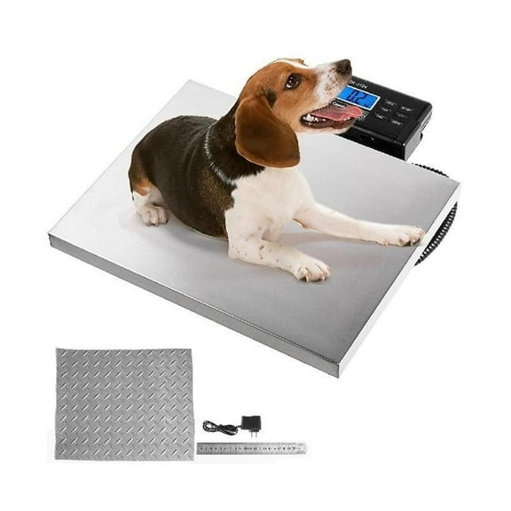 IBERSA Báscula Digital for Ganado, báscula Veterinaria Grande for Mascotas, Plataforma de Acero Inox