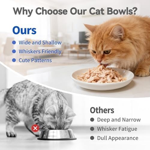 8 Pack Ceramic Cat Food Bowl, No Spill Cat Bowls Whisker-Friendly, Cute 5.9" Shallow Wide Kitten Plates, Easy to Clean Indoor Feeding Dishes