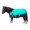 Turquoise, variant on Derby Originals Nordic-Tough Winter Mini Pony Turnout Blanket 1200D Heavy Weight