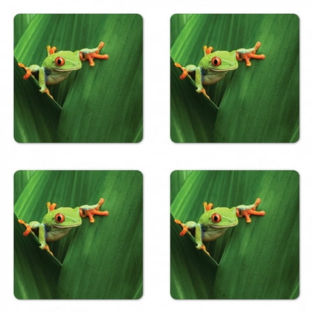 

Animal Coaster Set of 4 Red Eyed Frog Between Exotic Macro Big Leaves Wild Nature Night Animal Vivid Colors Square Hardboard Gloss Coasters Standard Size Green by Ambesonne
