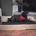 thumbnail image 1 of PETMAKER Orthopedic Memory Foam Pet Bed with Bolster, Large, 1 of 4