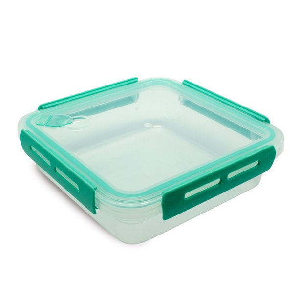 BioSmart Sandwich Container Reusable, BPA Free Plastic Food Storage