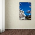 thumbnail image 3 of Trademark Fine Art 'MLK Memorial II' Canvas Art by Mitch Catanzaro, 3 of 3