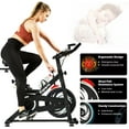 Ksports Wool Felt Resistance Exercise Bike with Ab Workout Function