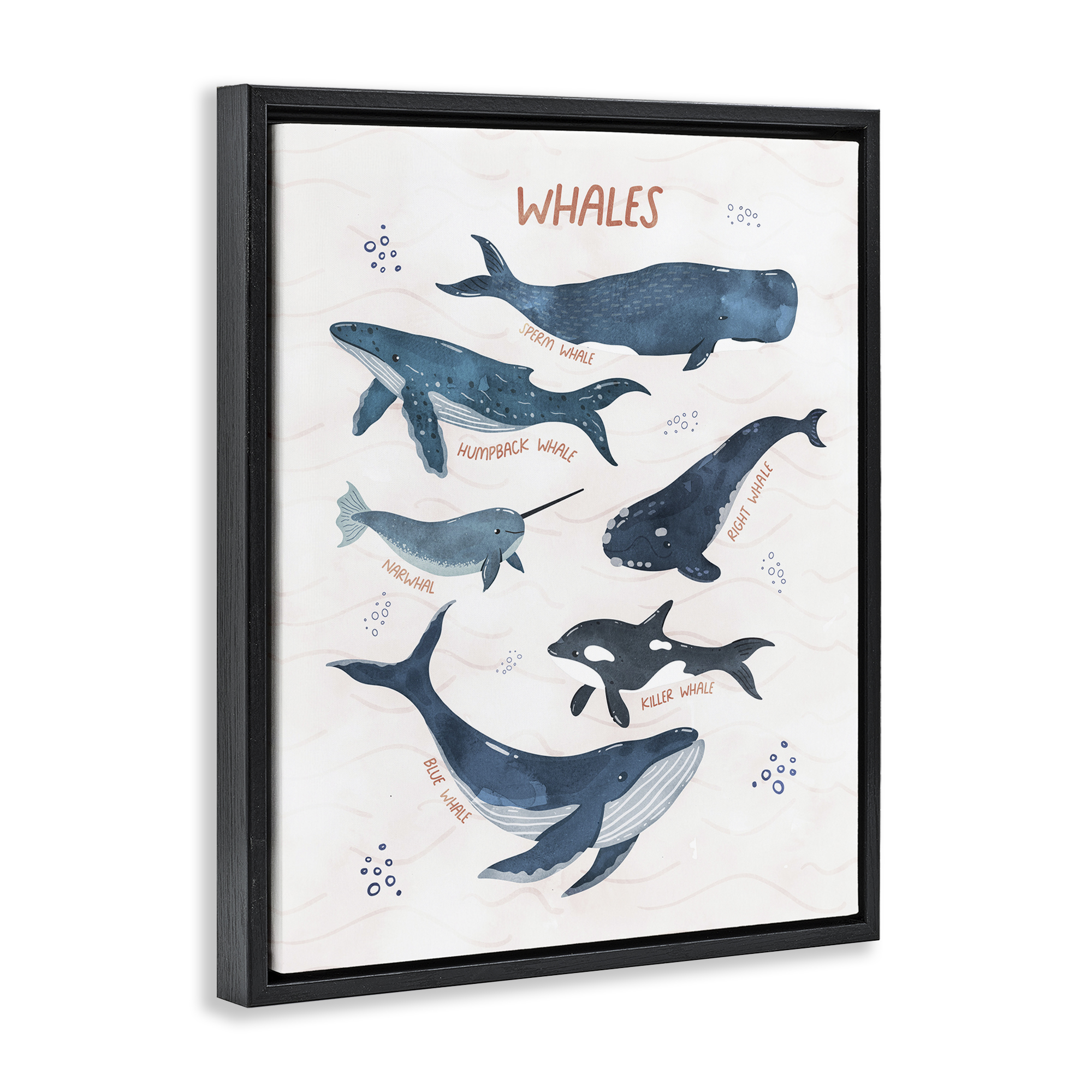 Stupell Industries Whales of the World Animals & Insects Painting Black Floater Framed Art Print Wall Art, 25 x 31