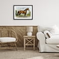 thumbnail image 3 of Stupell Industries Rustic Lodge Majestic Horse in Pastoral Landscape Black Framed Print Under Glass, 20 x 14, by Creative Studio, 3 of 8