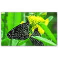 thumbnail image 1 of Picture-Tiles.com: Butterfly Ceramic Tile Wall Mural WAL500308-53S. 21.25"W x 12.75"H using (15) 4.25" x 4.25" Ceramic Tiles-Satin Finish, 1 of 3