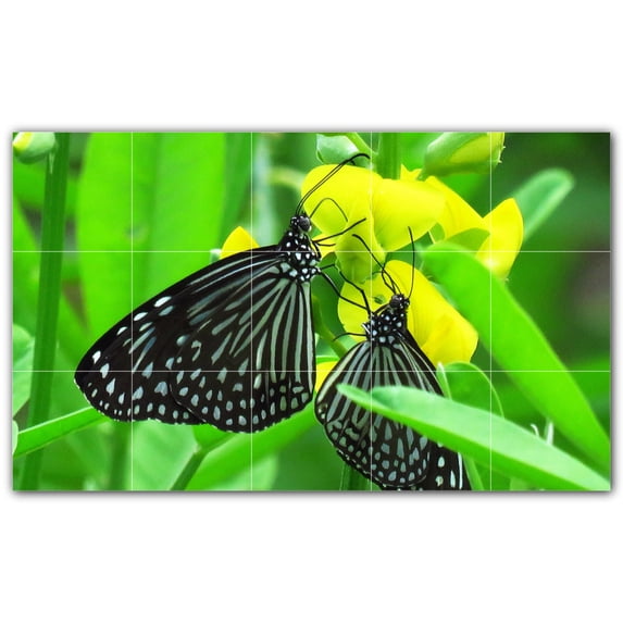 Picture-Tiles.com: Butterfly Ceramic Tile Wall Mural WAL500308-53S. 21.25"W x 12.75"H using (15) 4.25" x 4.25" Ceramic Tiles-Satin Finish