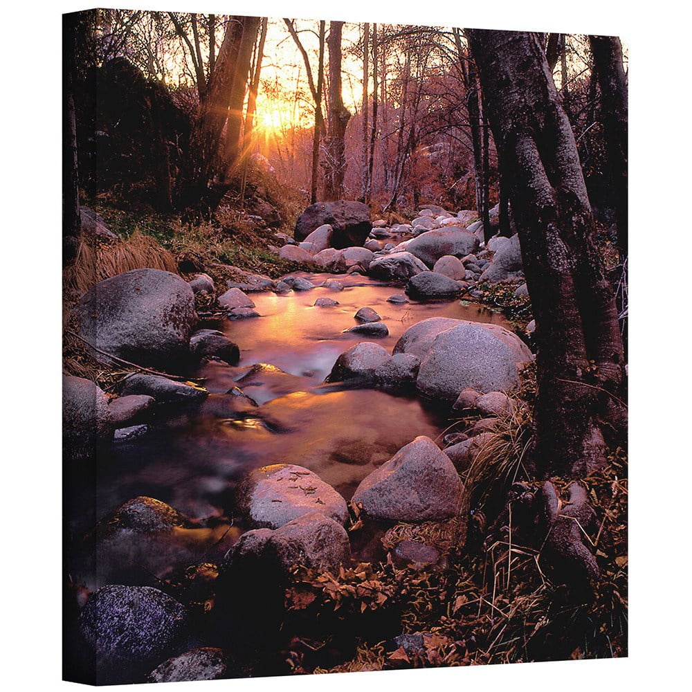 Dean Uhlinger "Homeland Wilderness" Gallery-Wrapped Canvas