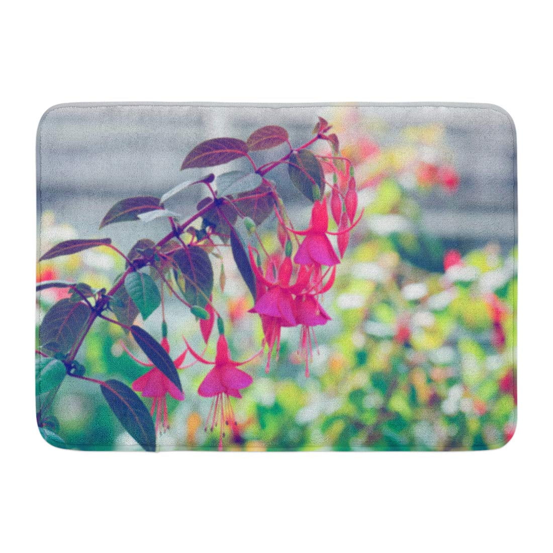 GODPOK Pink Blooming Colorful Beauty Beautiful Fuschia Flower in Nature Green Bloom Purple