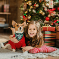 thumbnail image 5 of Paquete de 4 bandanas navideñas para perros, accesorios navideños para mascotas, decoración para perros y gatos pequeños a grandes, 5 of 5